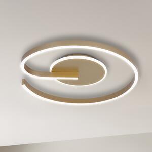 Stropné LED svietidlo Lorenzo, 1x LED 22w, 4000k, g