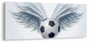Obraz - Balón s krídlami (120x50 cm)