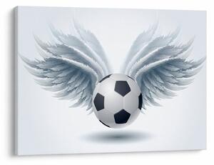 Obraz - Balón s krídlami (70x50 cm)