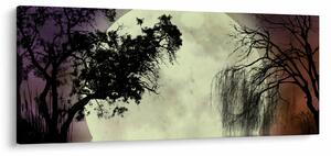 Obraz - Spln nad hladinou (120x50 cm)