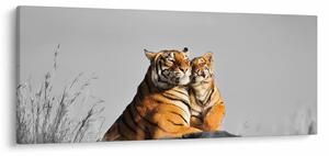 Obraz - Tigrice a jej mláďa, čiernobiely variant (120x50 cm)