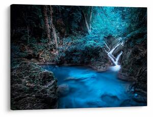Obraz - Magická noc v tropickom lese (70x50 cm)