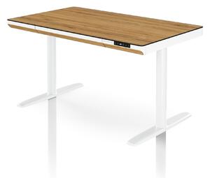 Elektrický písací stôl sit-stand so zásuvkou a bezdrôtovou nabíjačkou Qi biely/zlatý dub, 1200 mm: ELLIS