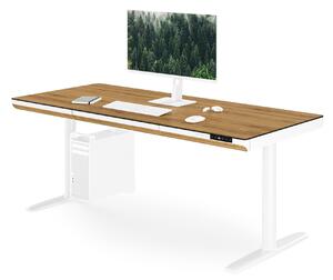 Elektrický písací stôl sit-stand so zásuvkou a bezdrôtovou nabíjačkou Qi biely/zlatý dub, 1600 mm: ELLIS