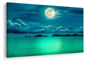 Obraz - Spln nad hladinou (90x60 cm)