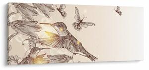 Obraz - Kolibríky (120x50 cm)