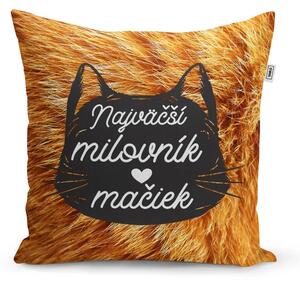 Sablio Vankúš Najväščí milovník mačiek: 40x40 cm
