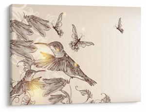 Obraz - Kolibríky (70x50 cm)