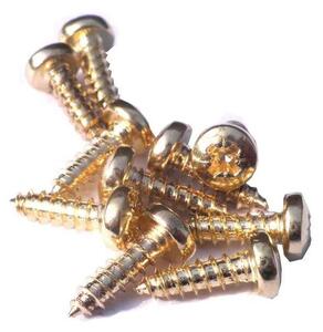 VRUT_zl_10_200ks | Šroubek ocelový zlatý 4 x 10mm 200ks