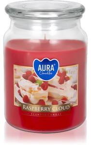BISPOL Rospberry Cloud vonná sviečka 500 g