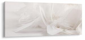 Obraz - Perie (120x50 cm)