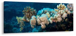 Obraz - V oceáne (120x50 cm)