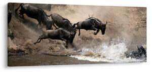 Obraz - Stádo pakoňov (120x50 cm)