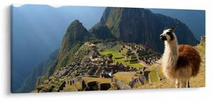 Obrázok - Lama a Machu Picchu (120x50 cm)