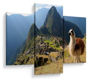 Obrázok - Lama a Machu Picchu (90x60 cm)