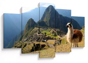 Obrázok - Lama a Machu Picchu (150x105 cm)
