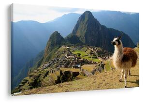 Obrázok - Lama a Machu Picchu (90x60 cm)