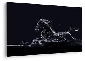 Obraz - Kôň a voda (90x60 cm)