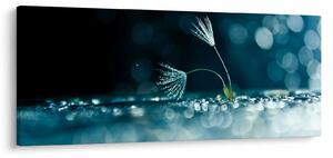Obraz - Makro (120x50 cm)