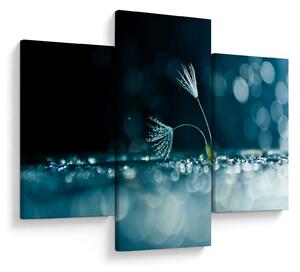 Obraz - Makro (90x60 cm)