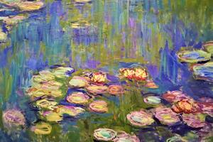 Obrazová reprodukcia Water Lilies, Claude Monet