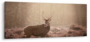 Obraz - Jeleň v lese (120x50 cm)