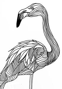 Ilustrácia Lines art Flamingo, Justyna Jaszke