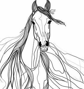 Ilustrácia Line Horse, Justyna Jaszke, (30 x 40 cm)