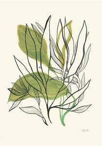 Ilustrácia Foliage N.1, Catalina Somolinos, (26.7 x 40 cm)