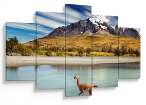 Obraz - Národný park Torres del Paine (150x105 cm)