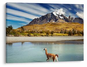 Obraz - Národný park Torres del Paine (70x50 cm)