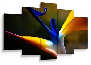 Obraz - Exotický kvet (150x105 cm)
