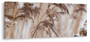Obraz - Lipnica (120x50 cm)