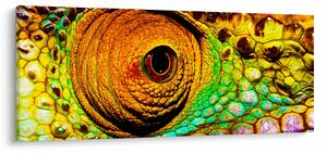 Obraz - Chameleon (120x50 cm)