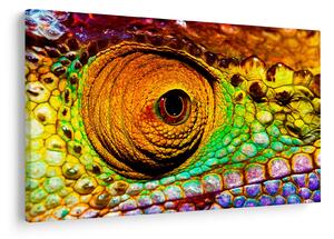 Obraz - Chameleon (90x60 cm)