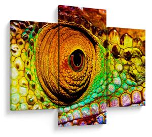 Obraz - Chameleon (90x60 cm)