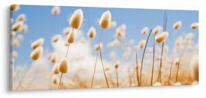 Obraz - Zlaté pole (120x50 cm)