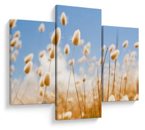 Obraz - Zlaté pole (90x60 cm)
