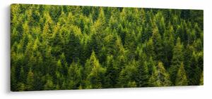 Obraz - Hustý les (120x50 cm)