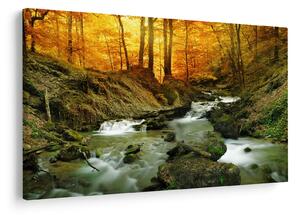 Obraz - Les (90x60 cm)