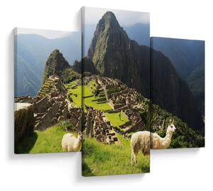 Obraz - Lamy v Machu Picchu (90x60 cm)