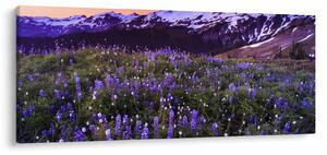 Obraz - Sopka a kvety (120x50 cm)