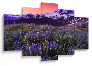 Obraz - Sopka a kvety (150x105 cm)