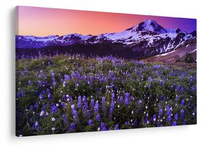 Obraz - Sopka a kvety (90x60 cm)