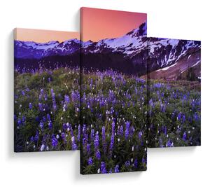 Obraz - Sopka a kvety (90x60 cm)
