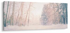 Obraz - Výhľad do lesa (120x50 cm)