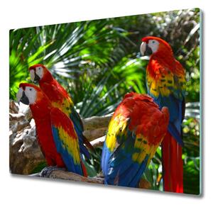 Sklenená doska na krájanie Papagáje papagájov 60x52 cm