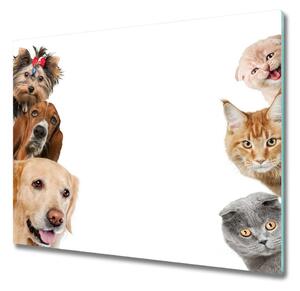 Sklenená doska na krájanie Psy a mačky 60x52 cm
