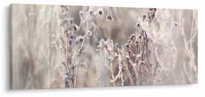 Obraz - Rastlina (120x50 cm)