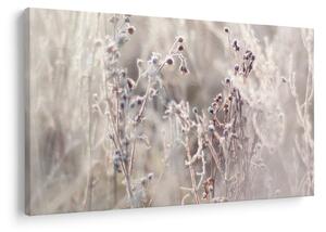 Obraz - Rastlina (90x60 cm)